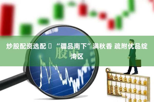 炒股配资选配 ​“疆品南下”满秋香 疏附优品绽湾区