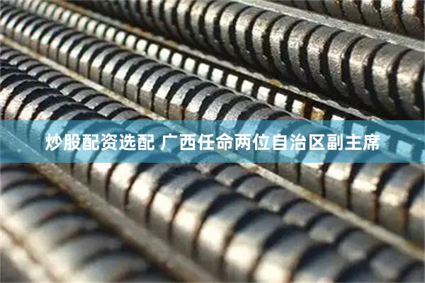 炒股配资选配 广西任命两位自治区副主席