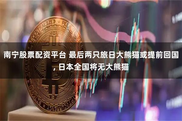 南宁股票配资平台 最后两只旅日大熊猫或提前回国, 日本全国将无大熊猫