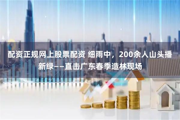 配资正规网上股票配资 细雨中，200余人山头播新绿——直击广东春季造林现场