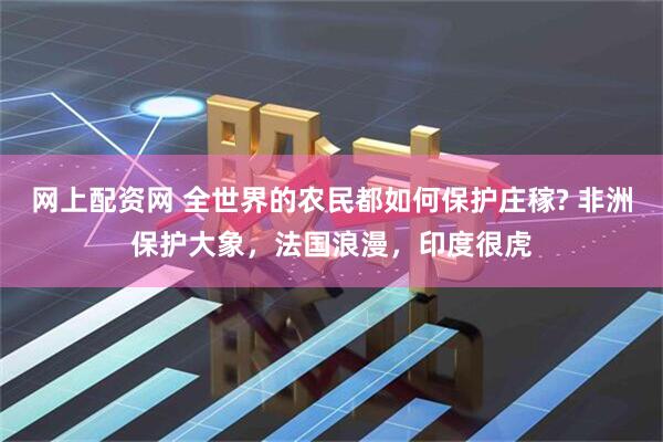 网上配资网 全世界的农民都如何保护庄稼? 非洲保护大象，法国浪漫，印度很虎