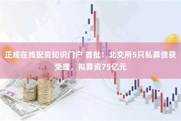 正规在线配资知识门户 首批！北交所5只私募债获受理，拟募资75亿元